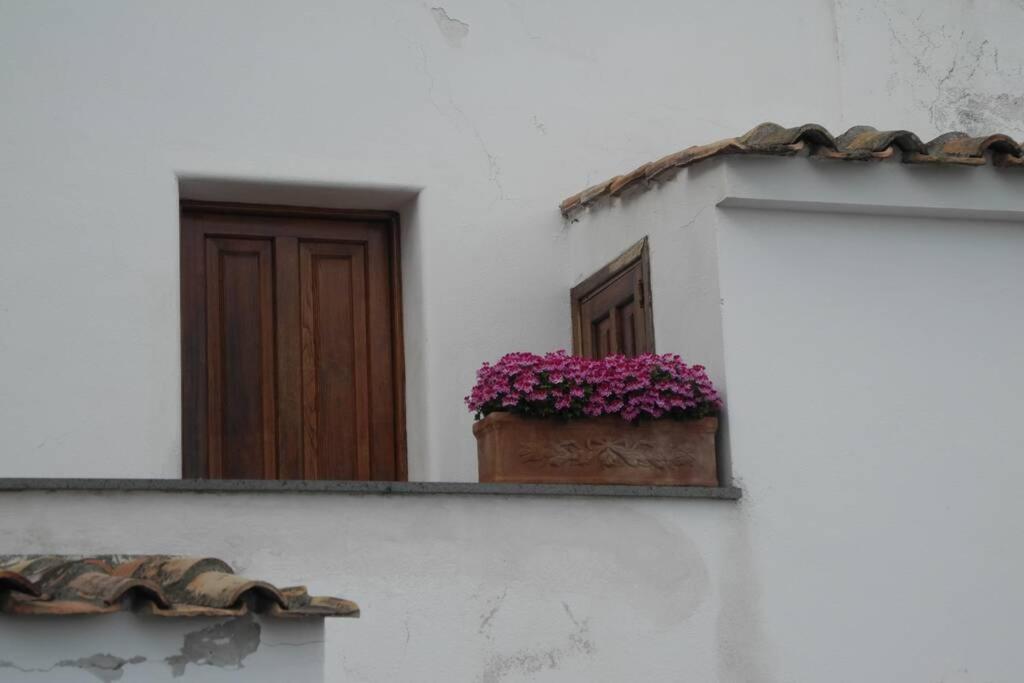 Holiday home East Wind House Praiano